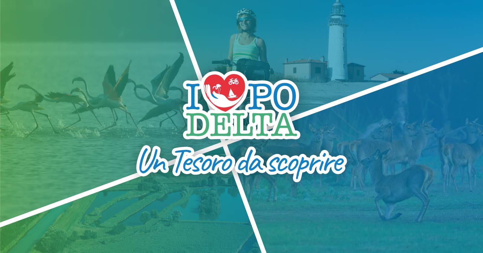 Parco delta del po eventi destinazione turismo condivisione