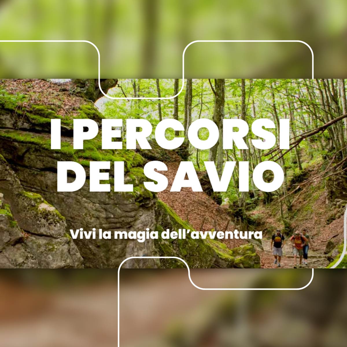 I Percorsi del Savio - Social Media Strategy