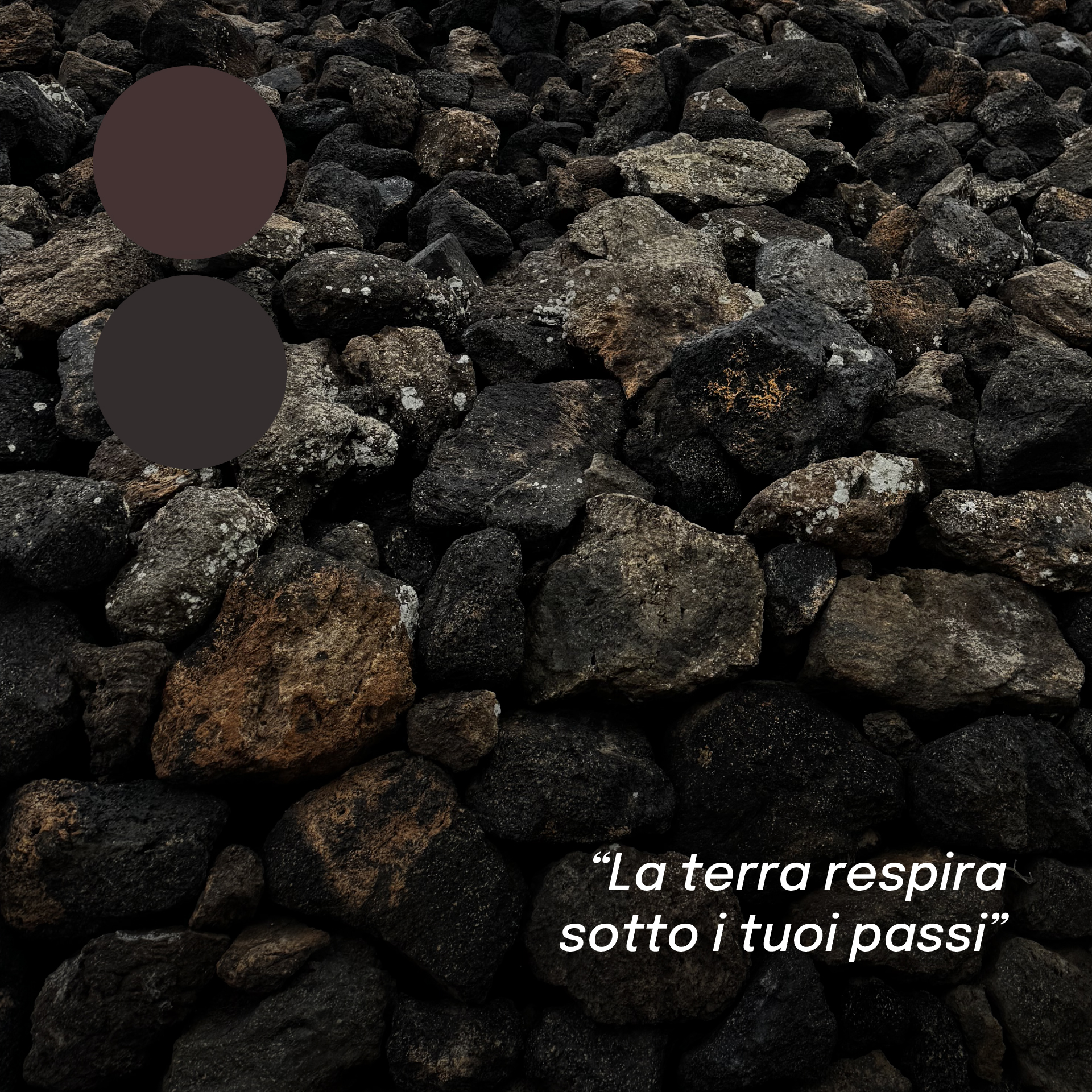 “Dettaglio di un muro in pietra lavica di Pantelleria, con due campioni di colore marrone scuro e la frase ‘La terra respira sotto i tuoi passi’. L’immagine richiama la forza e l’origine vulcanica dell’isola.”