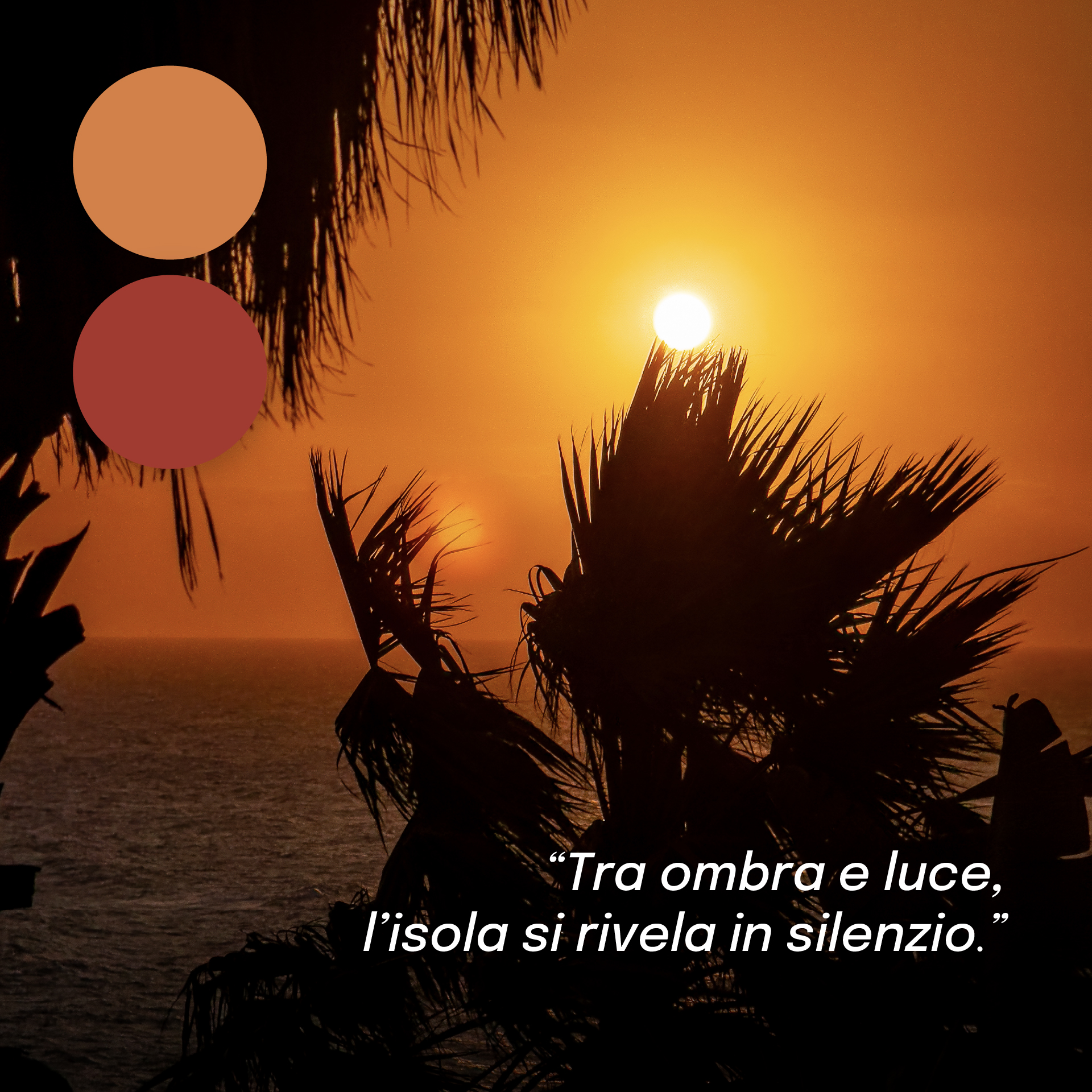 “Tramonto sul mare di Pantelleria con palme in controluce e due campioni di colore aranciato e rosso. In basso la frase ‘Tra ombra e luce, l’isola si rivela in silenzio’, evocando il carattere autentico e contemplativo del luogo.”