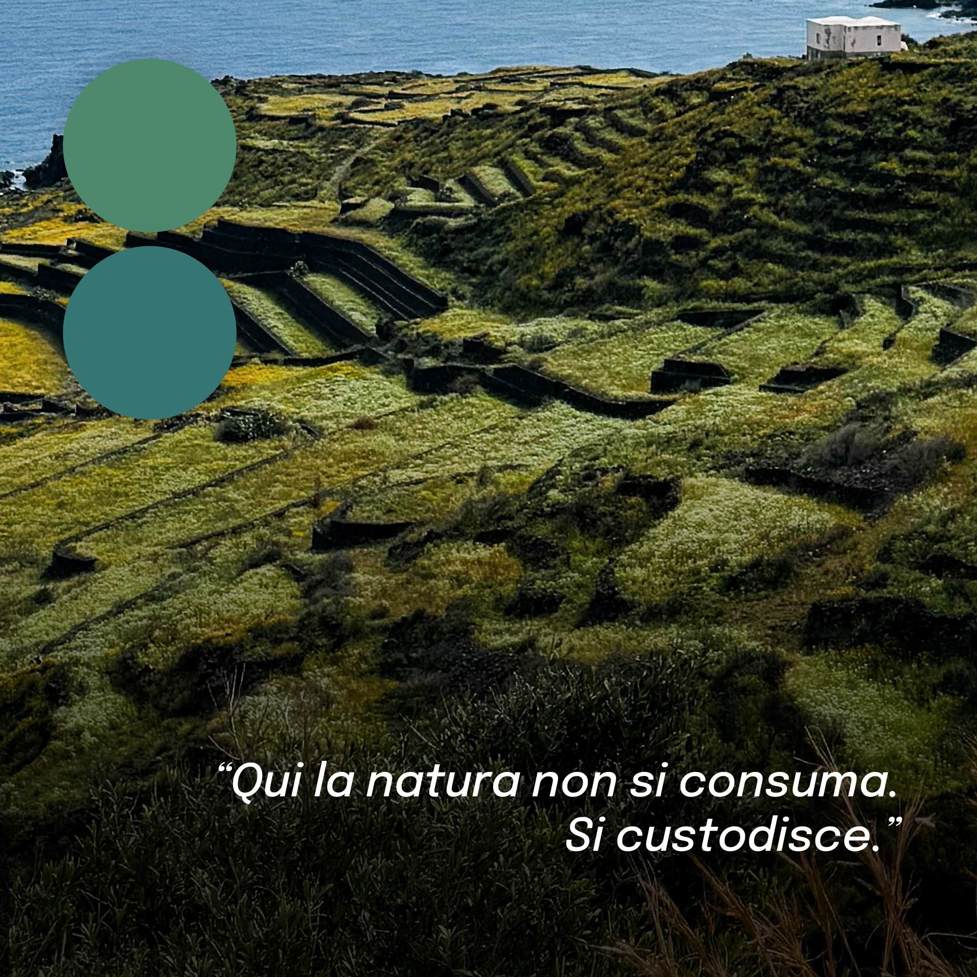 “Terrazze verdi di Pantelleria che degradano verso il mare, simbolo del paesaggio agricolo dell’isola. Due campioni di colore verde accompagnano la frase: ‘Qui la natura non si consuma. Si custodisce.’”