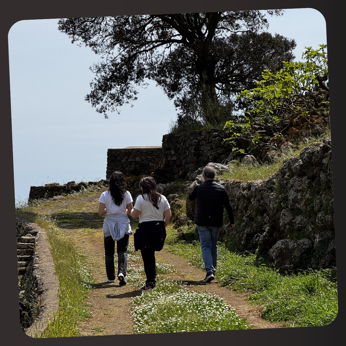 Due giovani donne e un uomo camminano lungo un sentiero immerso nel verde, tra antichi muretti a secco e alberi, durante un’escursione a Pantelleria. L’atmosfera è tranquilla e naturale, con vista sul mare all’orizzonte.