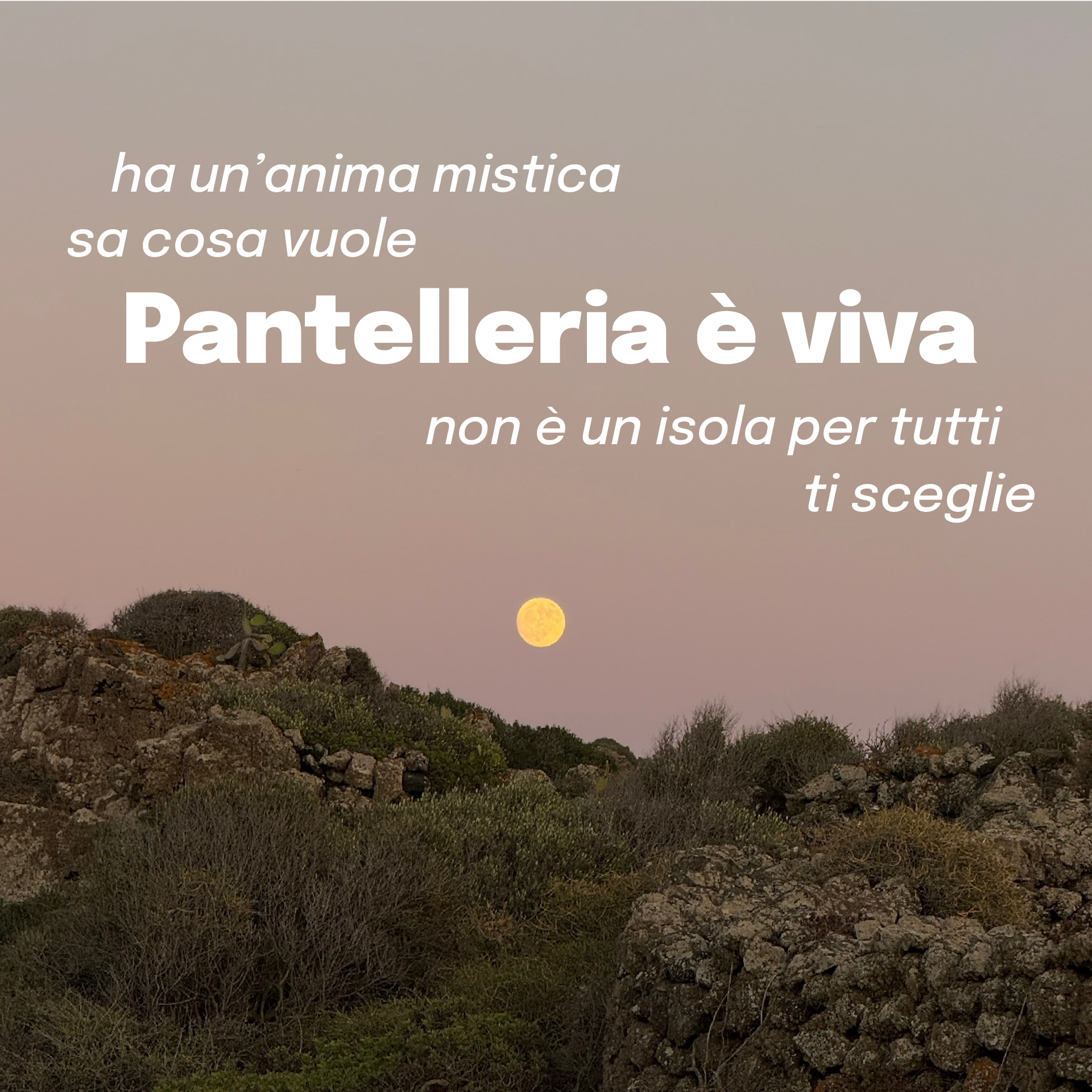 “Paesaggio roccioso di Pantelleria al tramonto con luna piena e cielo rosato. La frase ‘Pantelleria è viva, non è un’isola per tutti: ti sceglie’ evoca l’anima mistica e autentica dell’isola.”