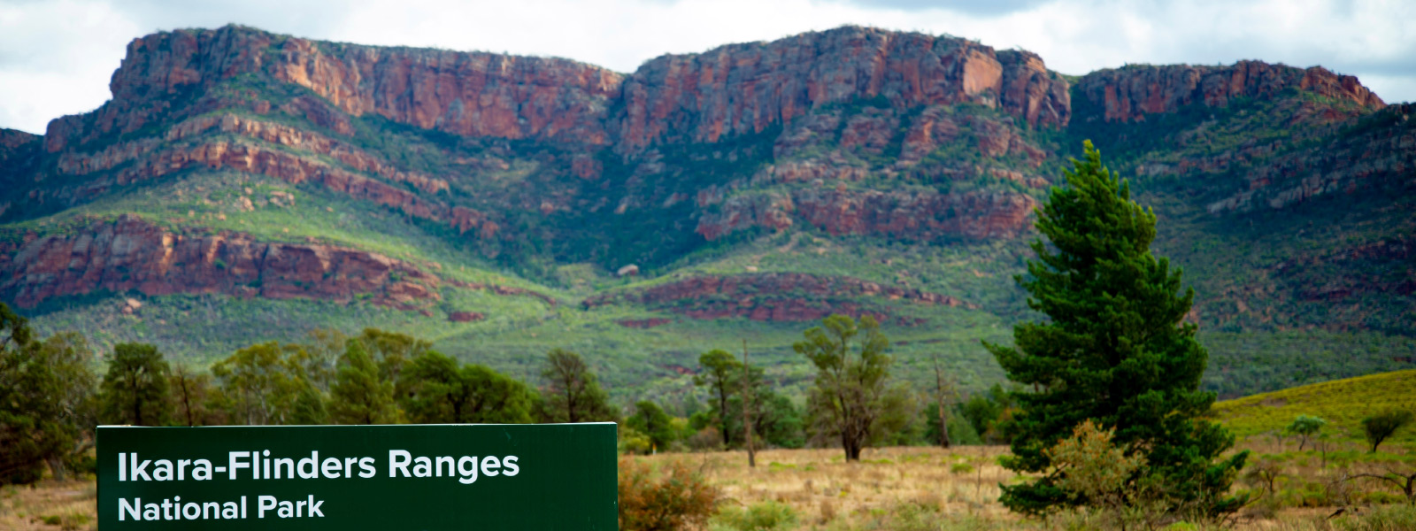 Paesaggio naturale del Parco Nazionale Ikara-Flinders Ranges, esempio di viaggio slow e immersione nella natura tra i trend travel 2026.